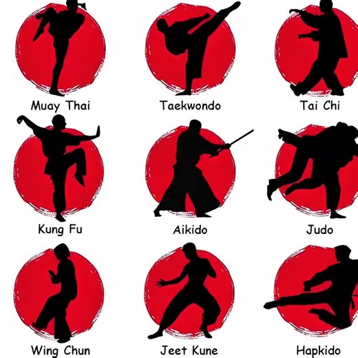 Understanding Judo Techniques and Competitions