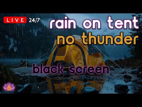🔴 [LIVE 24/7] Rain on Tent No Thunder | Rain Ambience | Rain Sounds for Sleeping [Black Screen]