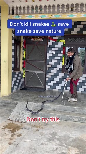 #yamlalbhandari #snakeyamlal #professionalsnakecatcher @sunil_sapkota11