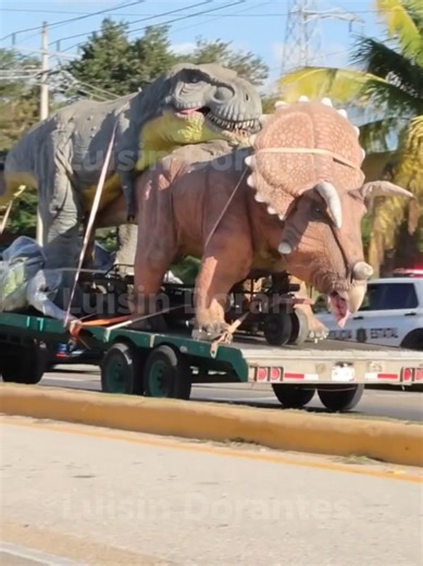 México: 1 IA: 0 #memes #méxicovsIA #reels #2026