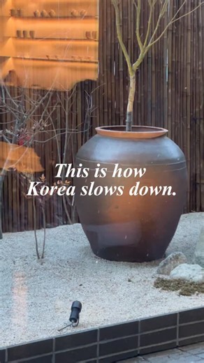 That Korean Girl on Instagram: "What’s the difference between Western and Eastern tea brewing? Western tea brewing uses fewer leaves and steeps for about 3 minutes. Eastern tea brewing uses more leaves and you drink it right after hot water is poured. It’s lighter, clearer, and more refreshing. I learned this here. 📍Mumidajeom by Estern Edition 17 Eonju-ro 133-gil, Gangnam District, Seoul Reservation Only #esternedition #gangnam #seoul #korea #teahouse #tea #asia #greentea #whitetea #blacktea #