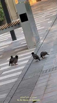 Project 10-29_Full HD 1080p.mp4