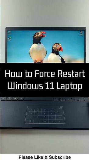 How to Force Restart Windows 11 Laptop