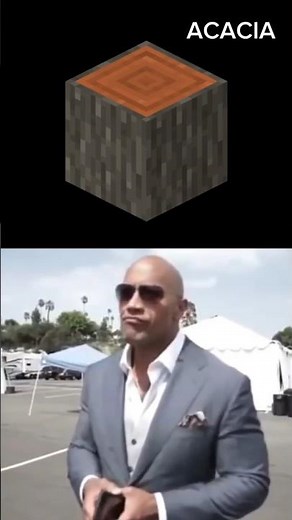 Ranking Minecraft Wood Types