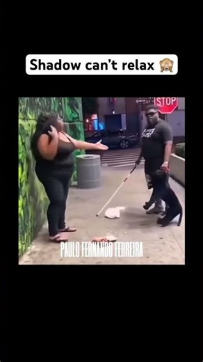 Relax Shadow, relax 🥲 #viral #memes #shortvideo #funny