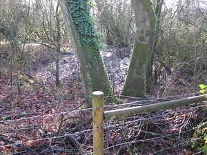 Royal Wootton Bassett Mud Springs - Born Again Swindonian