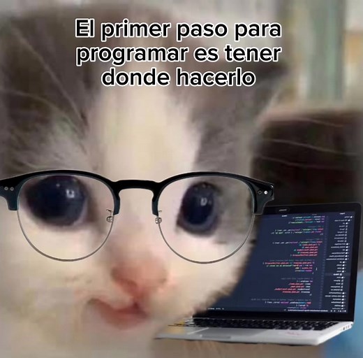 Programas Esenciales para Aprender a Programar