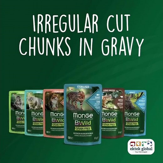 Monge BWild: Feed the Instinct! | Grain-Free Cat Food #cat #cat food