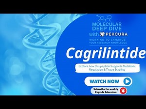 Cagrilintide Peptide Research Explained | Long-Acting Amylin Analogue & Metabolic Co-Agonist