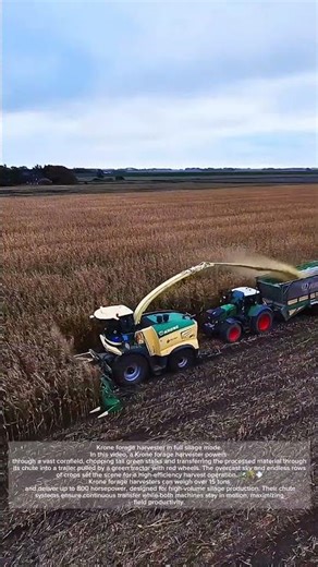Over 15 Tons of Power – Krone Harvester Transfers Silage with Precision!