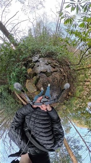 Field recording of a remote Appalachian stream!