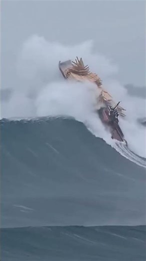 Gone in Seconds 🌊 #ocean #ship #storm #waves #northsea