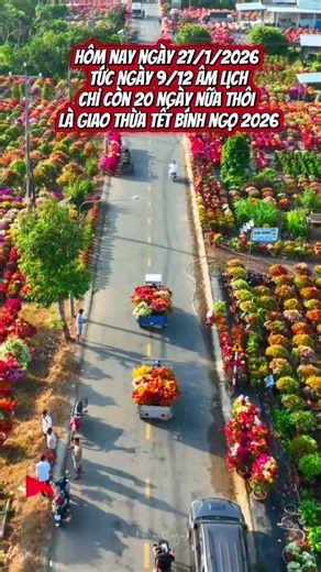 Đếm ngược đến Tết Nguyên Đán 2026