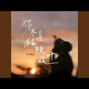 你不是枯枝败叶
