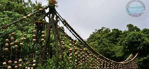 Un ponte fatto con le reti confiscate ai bracconieri: ecco l’insolita attrazione della selvaggia Isla del Coco