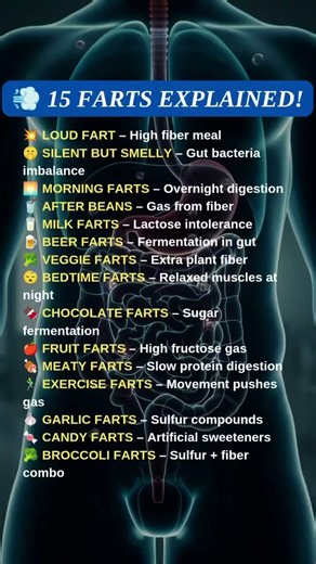 15 types of farts explained for healthy body #protein #healthydiet #healthyfood #calories #gas #fart