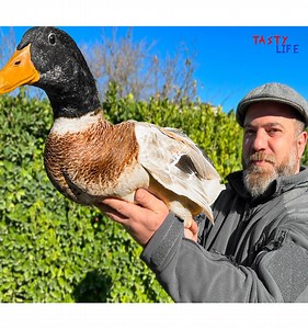 Stuffed tasty duck with a crispy crust in the oven recipe - Tasty Life | Tasty Life