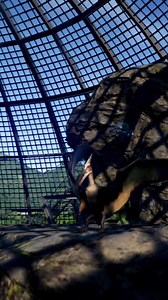 399 shares · 432 comments | Manage your dinosaurs on the move, anytime, anywhere, with Jurassic World Evolution: Complete Edition - coming soon to Nintendo Switch in one definitive package. | Jurassic World Evolution 3 | Facebook