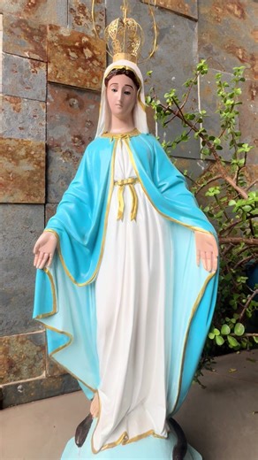 Você já pediu hoje que a mãe de Deus caminhe a sua frente 🙏🙏#Maria #oração #fé #fy #jesus