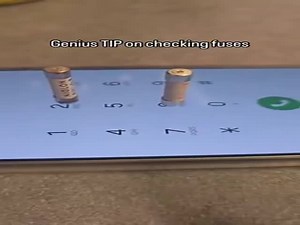 Checking The Fuse  (VIDEO)