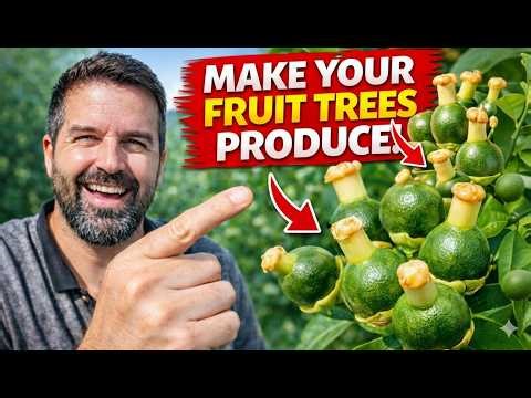 Do THIS and Your Fruit Trees Will Produce Again (100% Guaranteed)