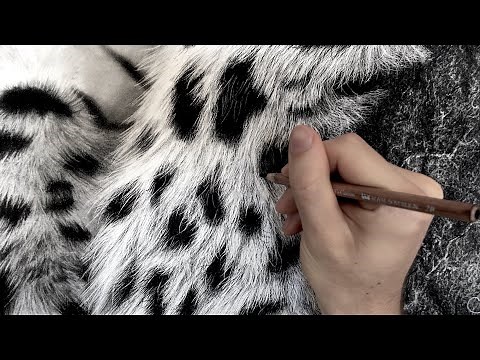 How to Draw Hyperrealistic Fur / Full Tutorial