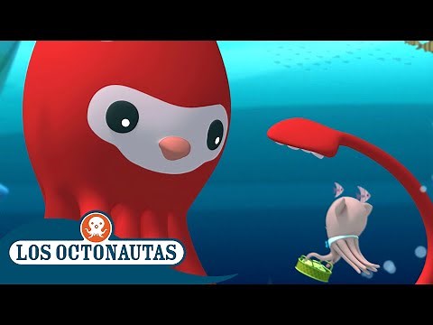 Los Octonautas Oficial En Español - El calamar gigante y el pepino de mar | Episodios Completos