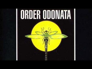 The Infinity Project - Superbooster