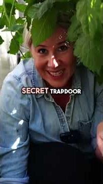 Fancy Chicken Coop Features for you to Copy