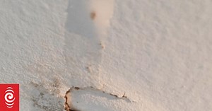 Tenancy Tribunal backs tenant against property manager Oxygen