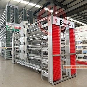 [Hot Item] Fully Automatic Stainless Steel Laying Hen Cage - Egg White and Feces Integrated