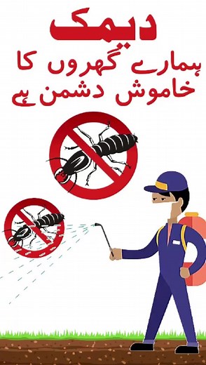 Say goodbye to Cockroaches • Termites • Bedbugs • Rodents! Our expert pest control team gives you: ✔ Cockroach treatment ✔ Termite control ✔ Bedbugs removal ✔ Rodent control ✔ Long-lasting protection ✔ Safe for kids, pets & senior citizens ✔ Same-day service available | KNS Pest Management