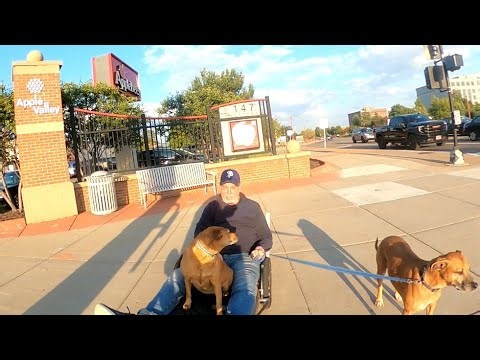 Bike Taxi? Giving Rides on My Surly Long Bed Trailer