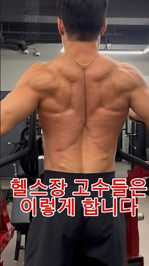 헬스장 고수들이 하는 등운동 (시티드로우)