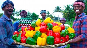 559K views · 30K reactions | We Cook Capsicum Omelet Recipe with Mutton Meat. Watch More Videos: https://www.youtube.com/channel/UCk3JZr7eS3pg5AGEvBdEvFg | Village Cooking Channel | Facebook