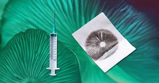 INDO2PLAY | Slot Raffi Ahmad 88, Slot Thailand & Slot Gacor Hari Ini