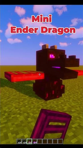 Minecraft Mini Ender Dragon!🐉