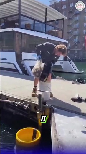 This Floating Trash Can Cleans the Ocean Like Magic