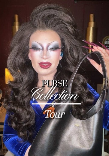 Pros and Cons of my most used bag🥀 #purse #pursetok #pursecollection #handbagcollection #collector