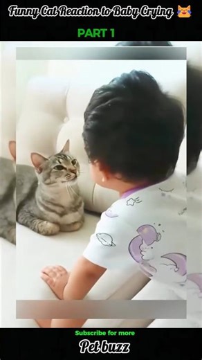 Amazing Pets That Will Shock You 😲🐾