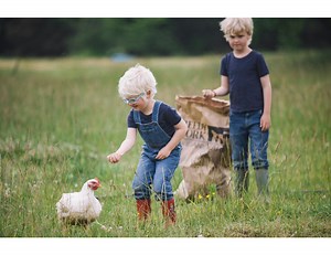 About Haven Farm(ers)