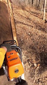 609K views · 3.6K reactions | Tree Of The Week- 2 different styles to cut down 1 tree This week we cut down a double but use 2 different styles to cut each side down | Boys In The Woods | Facebook