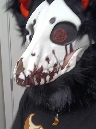Exploring the Skull Dog Furry Community
