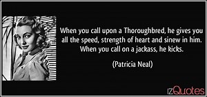 Speedbit Video Accelerator Premium Activation Code Free