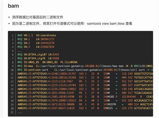 生物信息-二代测序-比对结果文件bam文件-格式-1