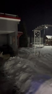 Musafiri noi🤣 | Casa Sonya