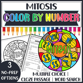 Mitosis Color by Number | Biology Review Worksheets Activity  | Cell Division