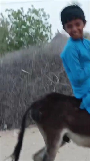A little child is riding on a mattress and singing a song in a desert area of Thar viral video #usa