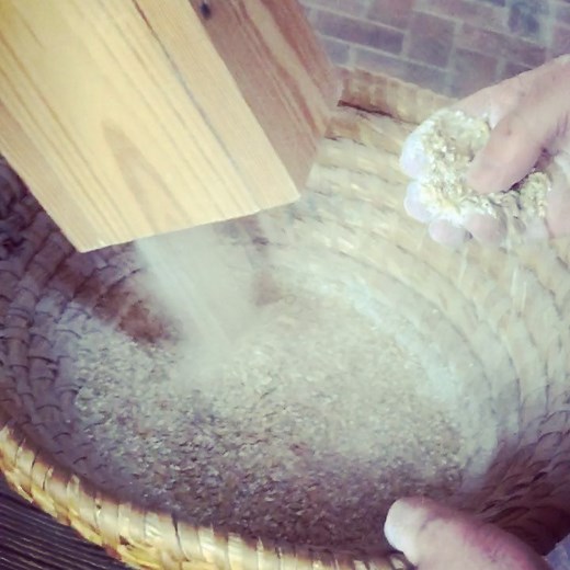 17 reactions | Starting up an Irish Red Ale brew day! We are stone-milling our Riverbend Malt House barley while our first brew fire of the day heats our one hundred gallon copper hot liquor tun! Come watch us brew all day while you sip on our historically brewed ales and indulge in some hearty fare! Specials today include Tomato Soup, Parmesan Crusted Grilled Cheese, and Fish & Chips. Wood-Oven White Sourdough bread is still available while supplies last. | Carillon Brewing Co. | Facebook