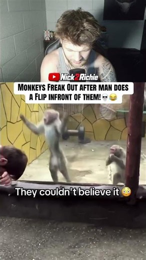 This Backflip Broke The Monkey’s Brain!! 😭💀